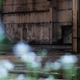 Illustration for article titled Abandoned Shipyard Halls Look Magical After Heavy Rain